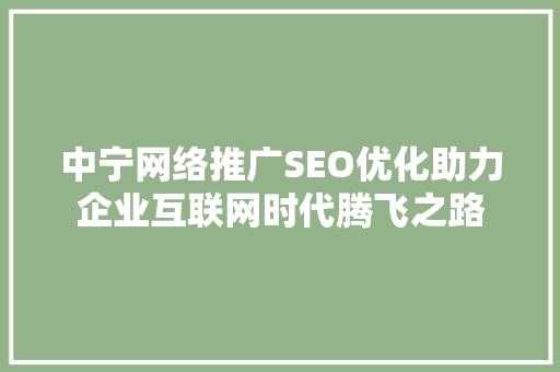 中宁网络推广SEO优化助力企业互联网时代腾飞之路