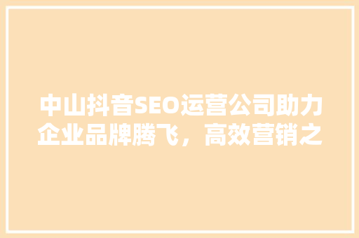 中山抖音SEO运营公司助力企业品牌腾飞，高效营销之路 SEO关键词