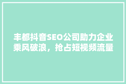 丰都抖音SEO公司助力企业乘风破浪，抢占短视频流量高地 搜狗SEO