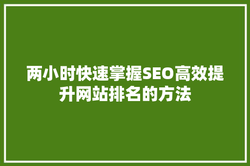 两小时快速掌握SEO高效提升网站排名的方法 百度SEO