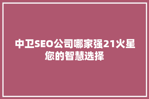 中卫SEO公司哪家强21火星您的智慧选择 百度SEO