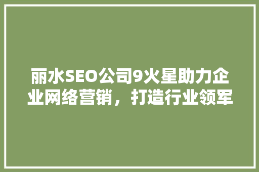 丽水SEO公司9火星助力企业网络营销，打造行业领军品牌 网站建设公司
