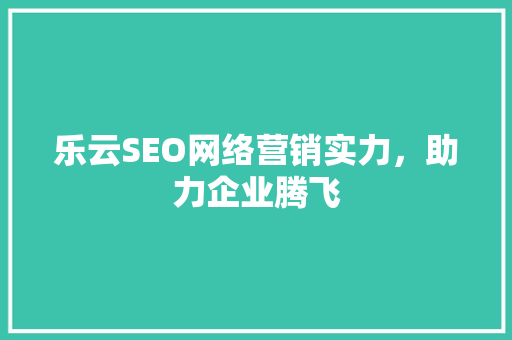 乐云SEO网络营销实力，助力企业腾飞 网站建设公司