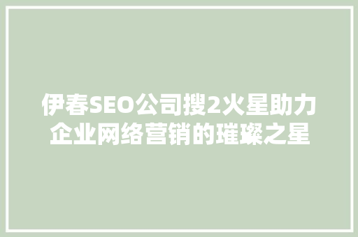 伊春SEO公司搜2火星助力企业网络营销的璀璨之星 网站建设公司