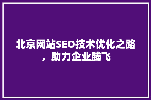 北京网站SEO技术优化之路，助力企业腾飞 百度SEO