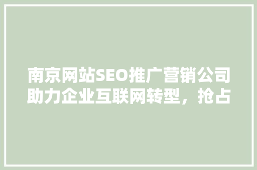 南京网站SEO推广营销公司助力企业互联网转型，抢占市场先机 神马SEO