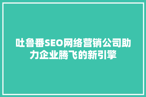 吐鲁番SEO网络营销公司助力企业腾飞的新引擎 网站建设公司