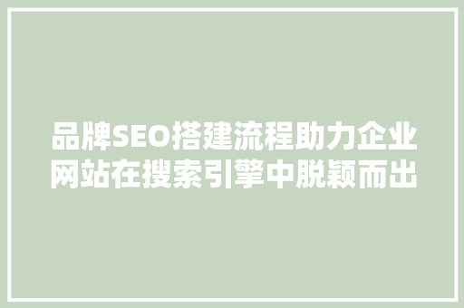 品牌SEO搭建流程助力企业网站在搜索引擎中脱颖而出 百度SEO