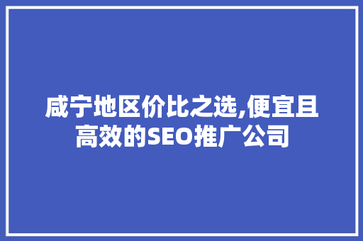 咸宁地区价比之选,便宜且高效的SEO推广公司 网站建设公司
