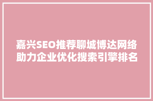 嘉兴SEO推荐聊城博达网络助力企业优化搜索引擎排名 百度SEO