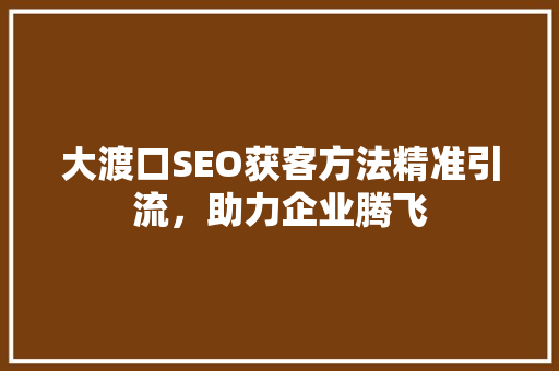 大渡口SEO获客方法精准引流，助力企业腾飞 神马SEO