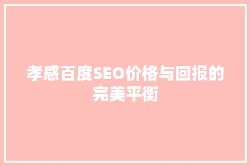 孝感百度SEO价格与回报的完美平衡 网站建设公司