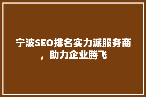 宁波SEO排名实力派服务商，助力企业腾飞 必应SEO