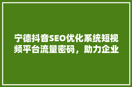 宁德抖音SEO优化系统短视频平台流量密码，助力企业腾飞 搜狗SEO