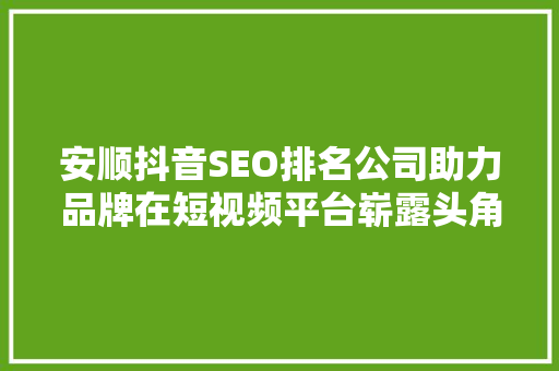 安顺抖音SEO排名公司助力品牌在短视频平台崭露头角 搜狗SEO