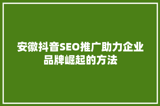安徽抖音SEO推广助力企业品牌崛起的方法
