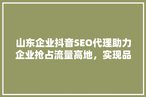 山东企业抖音SEO代理助力企业抢占流量高地，实现品牌价值最大化 搜狗SEO