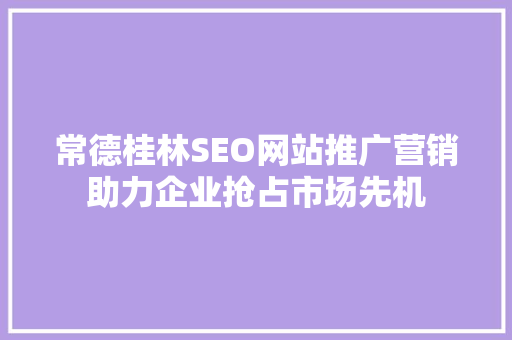 常德桂林SEO网站推广营销助力企业抢占市场先机 网站建设公司