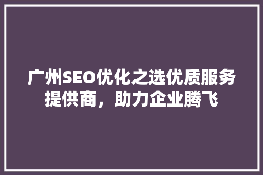 广州SEO优化之选优质服务提供商，助力企业腾飞 SEO关键词