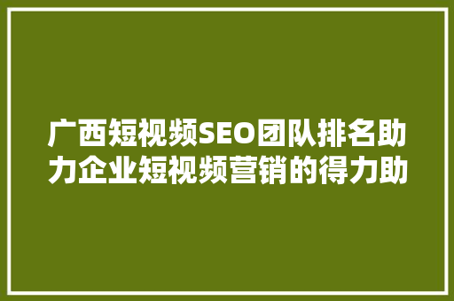 广西短视频SEO团队排名助力企业短视频营销的得力助手