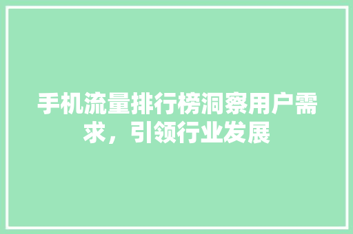 手机流量排行榜洞察用户需求，引领行业发展 SEO关键词