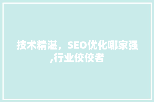技术精湛，SEO优化哪家强,行业佼佼者 SEO关键词