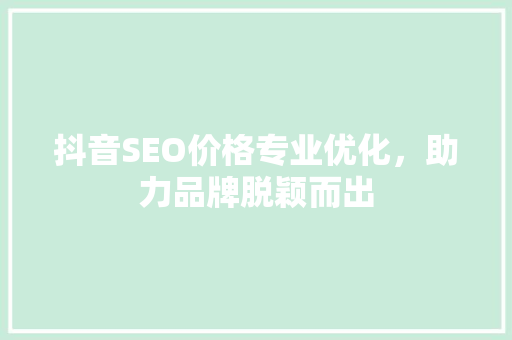 抖音SEO价格专业优化，助力品牌脱颖而出 SEO关键词