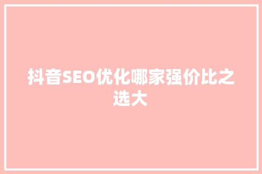 抖音SEO优化哪家强价比之选大 网站建设公司