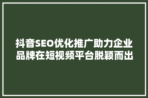 抖音SEO优化推广助力企业品牌在短视频平台脱颖而出 网站建设公司