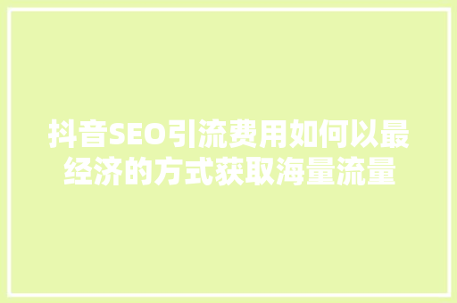 抖音SEO引流费用如何以最经济的方式获取海量流量 必应SEO