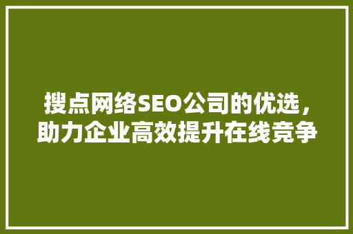 搜点网络SEO公司的优选，助力企业高效提升在线竞争力 百度SEO