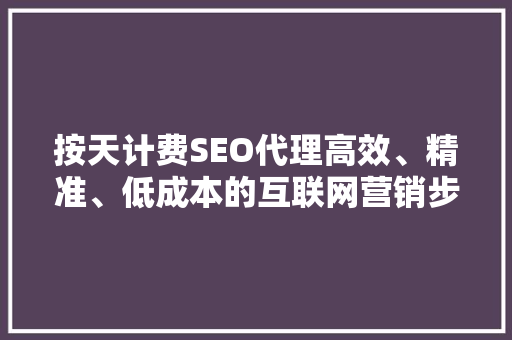 按天计费SEO代理高效、精准、低成本的互联网营销步骤 SEO关键词