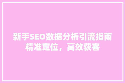 新手SEO数据分析引流指南精准定位，高效获客 必应SEO
