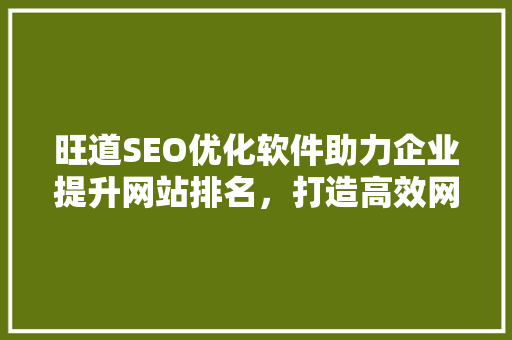 旺道SEO优化软件助力企业提升网站排名，打造高效网络营销步骤 SEO关键词
