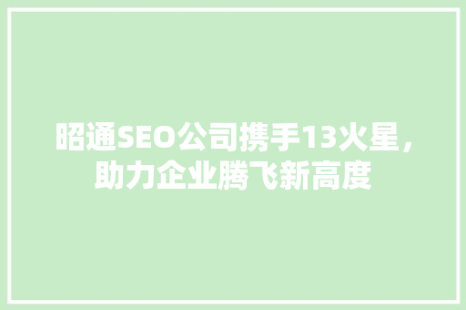 昭通SEO公司携手13火星，助力企业腾飞新高度 搜狗SEO