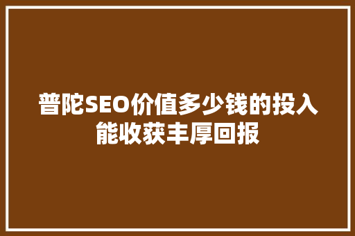 普陀SEO价值多少钱的投入能收获丰厚回报 百度SEO