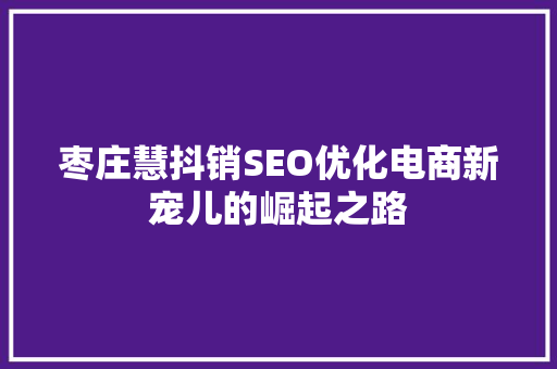 枣庄慧抖销SEO优化电商新宠儿的崛起之路 必应SEO