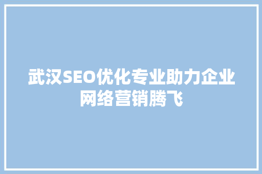 武汉SEO优化专业助力企业网络营销腾飞 神马SEO