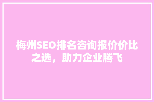 梅州SEO排名咨询报价价比之选，助力企业腾飞 必应SEO