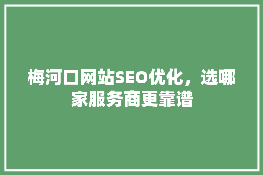 梅河口网站SEO优化，选哪家服务商更靠谱