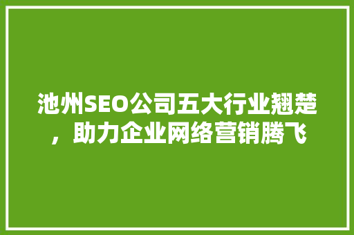 池州SEO公司五大行业翘楚，助力企业网络营销腾飞