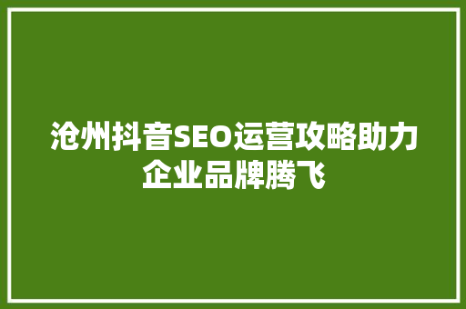 沧州抖音SEO运营攻略助力企业品牌腾飞