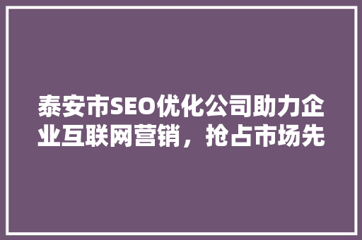 泰安市SEO优化公司助力企业互联网营销，抢占市场先机 网站建设公司