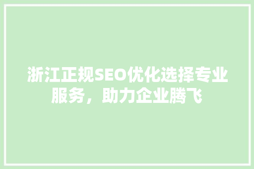 浙江正规SEO优化选择专业服务，助力企业腾飞 网站建设公司