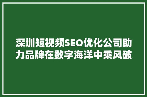 深圳短视频SEO优化公司助力品牌在数字海洋中乘风破浪 必应SEO
