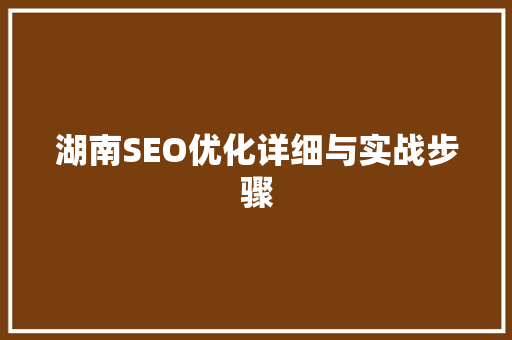 湖南SEO优化详细与实战步骤 网站建设公司