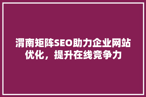 渭南矩阵SEO助力企业网站优化，提升在线竞争力 SEO关键词