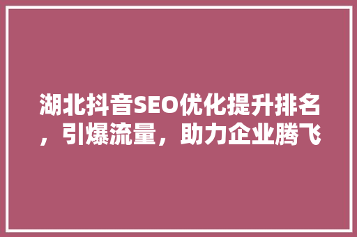湖北抖音SEO优化提升排名，引爆流量，助力企业腾飞 搜狗SEO