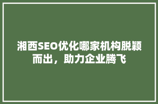 湘西SEO优化哪家机构脱颖而出，助力企业腾飞 网站建设公司