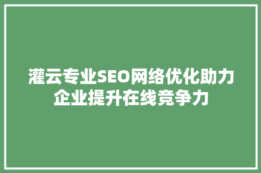 灌云专业SEO网络优化助力企业提升在线竞争力 必应SEO